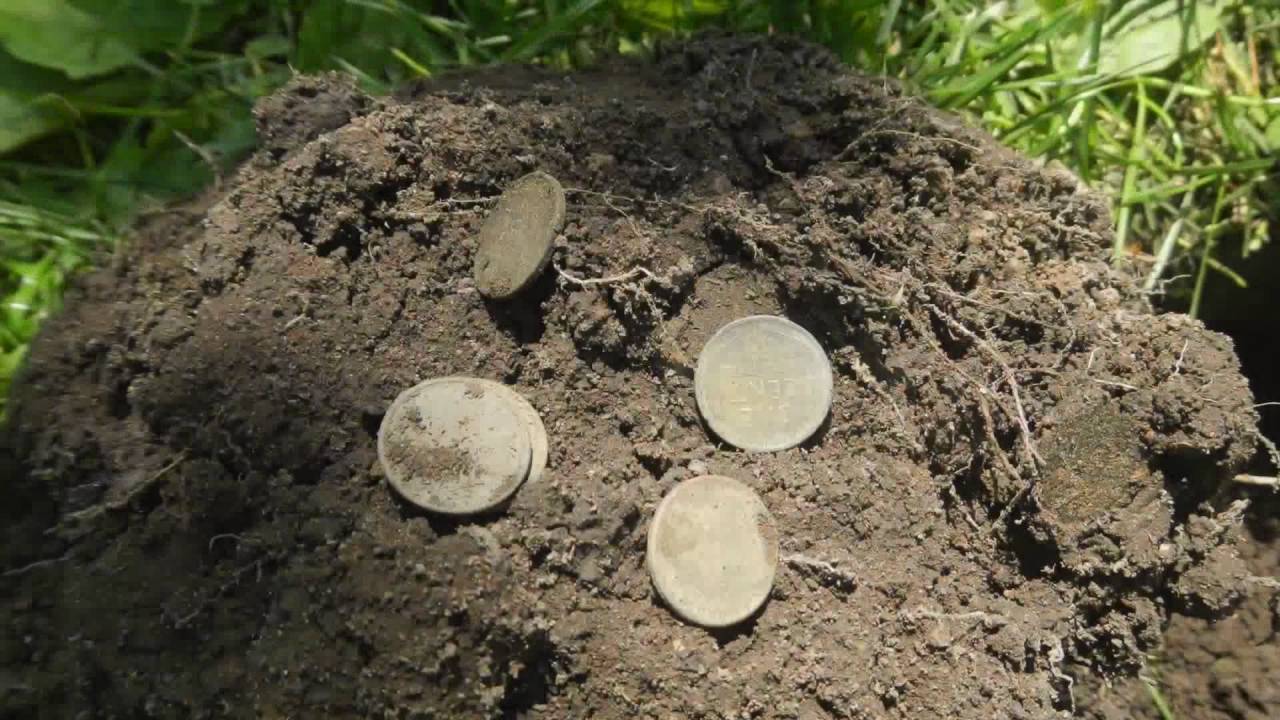 Metal Detecting Indiana Park Yields Silver! YouTube