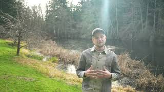 The Ultimate San Juan Island Escape? | Friday Harbor, WA | Private 10 Acre Retreat with Large Pond