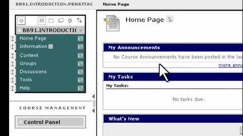 Taking a First Look at Blackboard 9.1