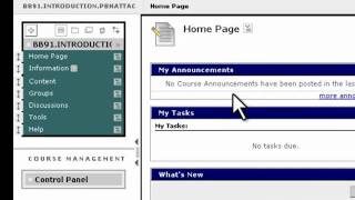 Taking a First Look at Blackboard 9.1