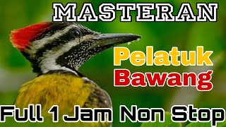 Masteran Pelatuk Bawang[Full 1 Jam Non Stop]‼️ @rmbfchannel