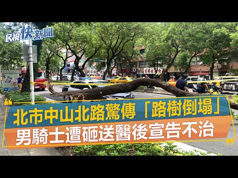 快新聞／北市中山北路驚傳「路樹倒塌」　男騎士送醫後宣告不治－民視新聞