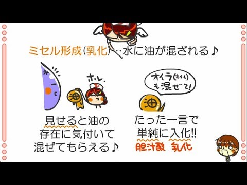 国試プチ講座６話「消化酵素１発暗記特訓」ｂｙWEB玉塾