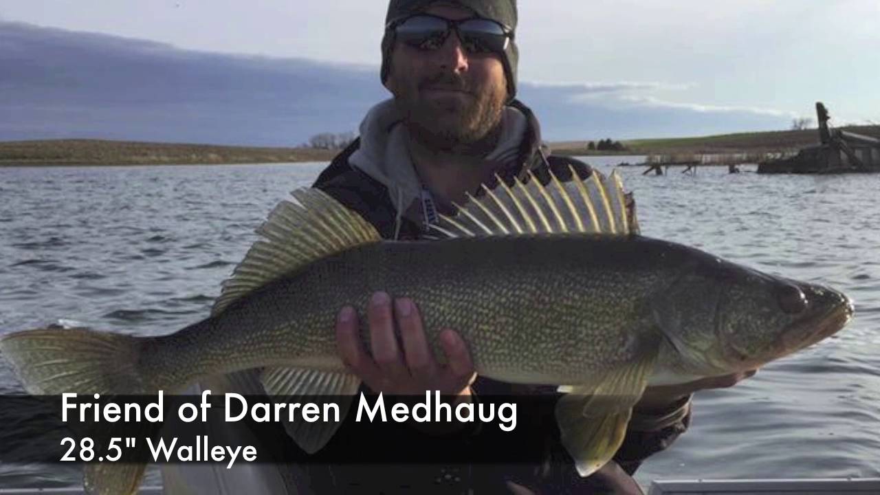 walleye fishing boats Dakota Angler 2-Minute Fishing Report (5/11/16)