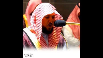 آيات جليلات خاشعات من سورة الأنبياء لفضيلة الشيخ د. ماهر المعيقلي