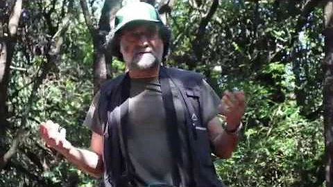 Venda Meditation with Jeffrey Rink