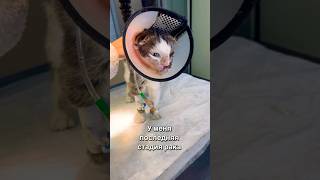 У меня последняя стадия рака💔