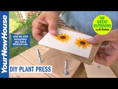 Video: Fiore fatto in casa: scelta del materiale, strumenti necessari e istruzioni di lavoro