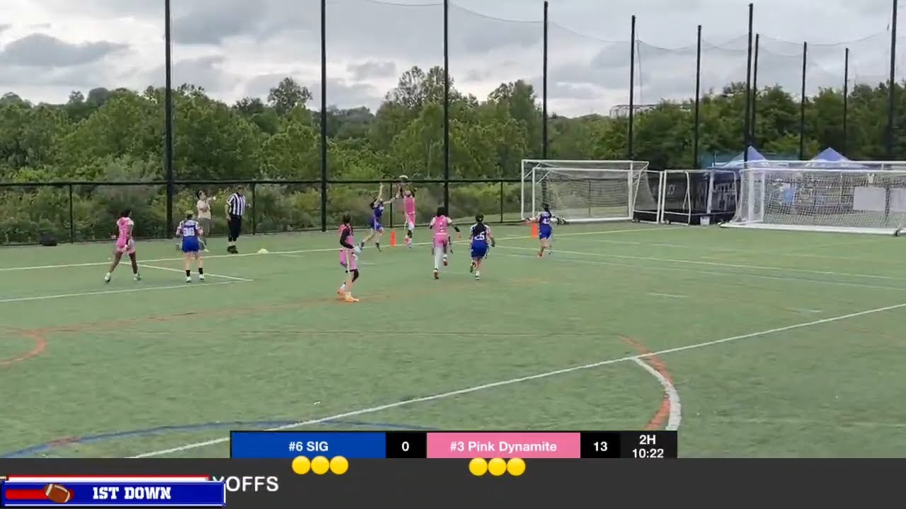 FFL Beast Of The East 2024 Playoffs: SIG vs Pink Dynamite playoffs