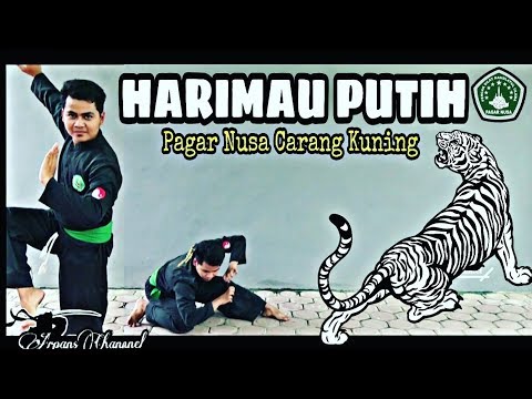 JURUS SILAT HARIMAU PUTIH !! Pagar Nusa Carang Kuning