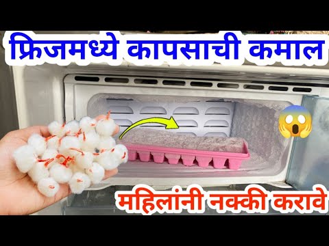 फ्रिजमध्ये कापूस ठेवताच कमाल झाली ? marathi kitchen tips / takau pasun tikau vastu / recipe / tadka