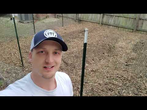 וִידֵאוֹ: Protecting Plants From Chickens - How To Chicken Proof My Garden