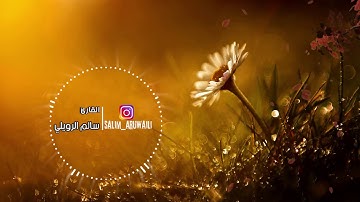 خواتيم سورة البقرة تلاوة هادئة وخاشعة بصوت جميل أرح نفسك بها القارئ سالم الرويلي 🌺💯🌼