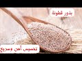 بذور قطونة Psyllium لتخسيس سريع وآمن 