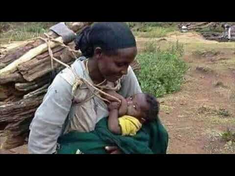 Walaloo Harmee By Dhaloota Boruu