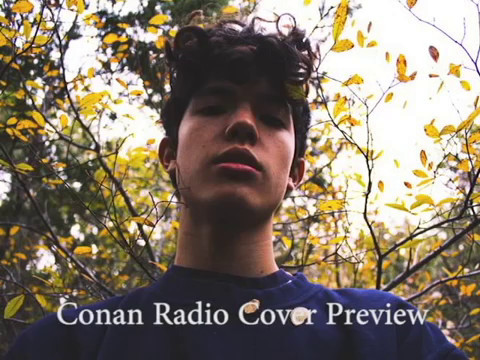 Conan Gray Radio Cover preview