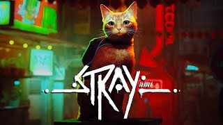 A CICA SZIMULÁTOR 🐈 | Stray (Playstation 5)