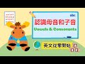 【英文從零開始】認識母音和子音|Vowels &amp; Consonants|Boro English