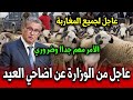 عاجل من الوزارة عن اضاحي عيد الاضحى بالمغرب أخبار المغرب اليوم عاجل جداا لجميع المغا ربة 
