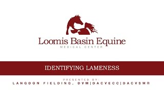 Loomis Basin Equine Medical Center  Identifying Lameness  Dr Langdon Fielding
