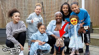 OUR DAUGHTER GETS THE SURPRISE OF HER LIFE!!! 🐶 HALO'S 2ND BIRTHDAY!!!