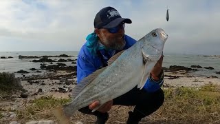 A trip to remember! Cape Overberg Episode 1