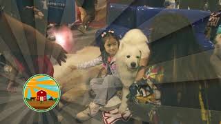 AGRITV Philippine Pet Expo by the Farmers Summit Philippines             February 17, 2024 Episode