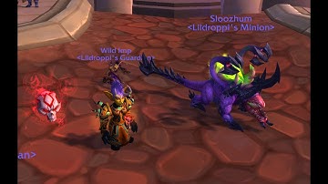 How to get the Purple Dreadhound Customization for Warlocks, Full Dungeon Guide