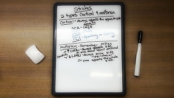 Stroke | Easiest and Fastest Way to Memorize for USMLE Step 1