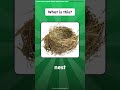 Word Quiz | Nature Elements | #English #Nature #Earth #Vocabulary