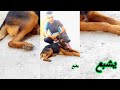SAIF BOIKA خلوني خلوني نبيع أنا خلوني