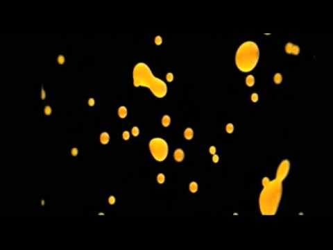 Light You Up Video