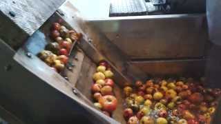 2013 Cider Production: