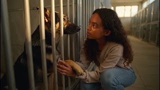 6 Jahre lang weinten sie um ihn, doch niemand wollte ihn. Dann geschah das Unerwartete.