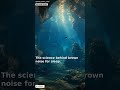 Brown Noise Environments Sleep Short — 60 Seconds | #Shorts