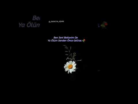 _papatya_adam tiktok