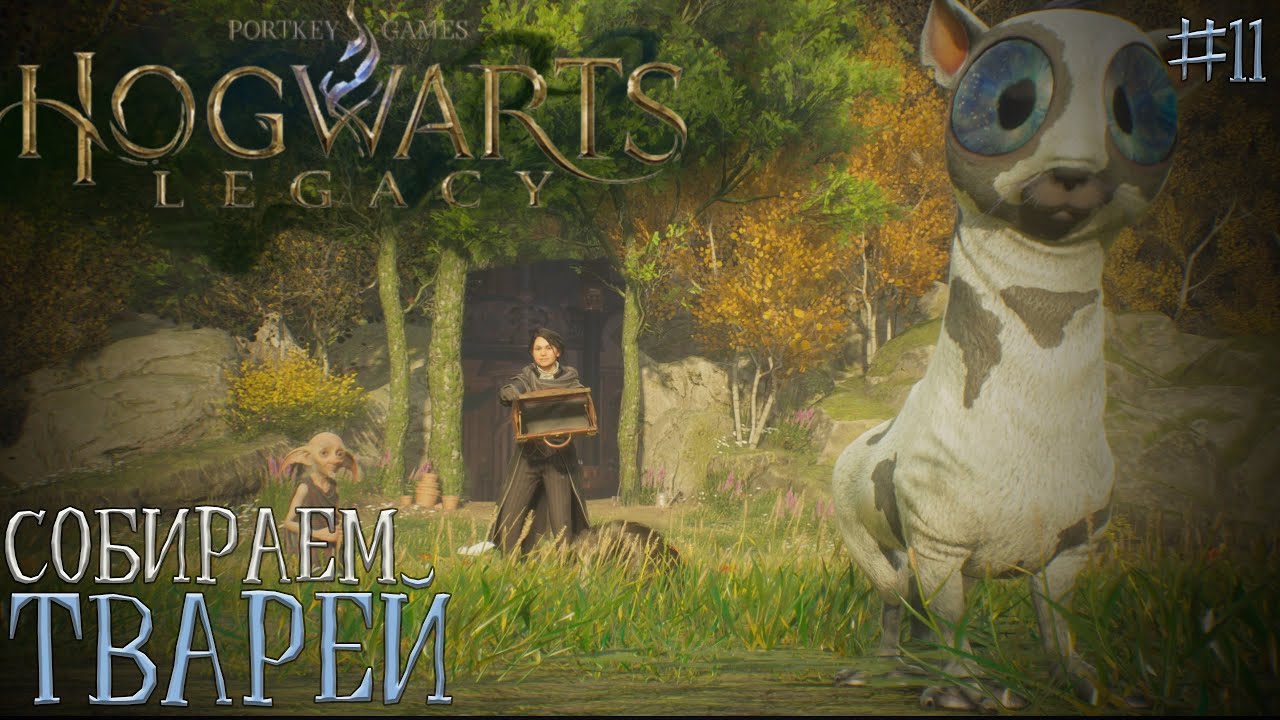 House elves hogwarts legacy. твари hogwarts legacy кошка. квест получен. Hogwarts legacy твари. фалмер из скайрима.