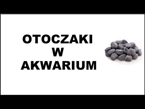 Wideo: Czy można włożyć kamienie do kubka skalnego?