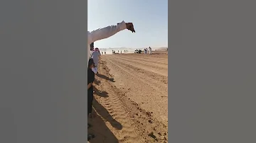 سباق خيل مربط الفهد خيل عربي اصيل 