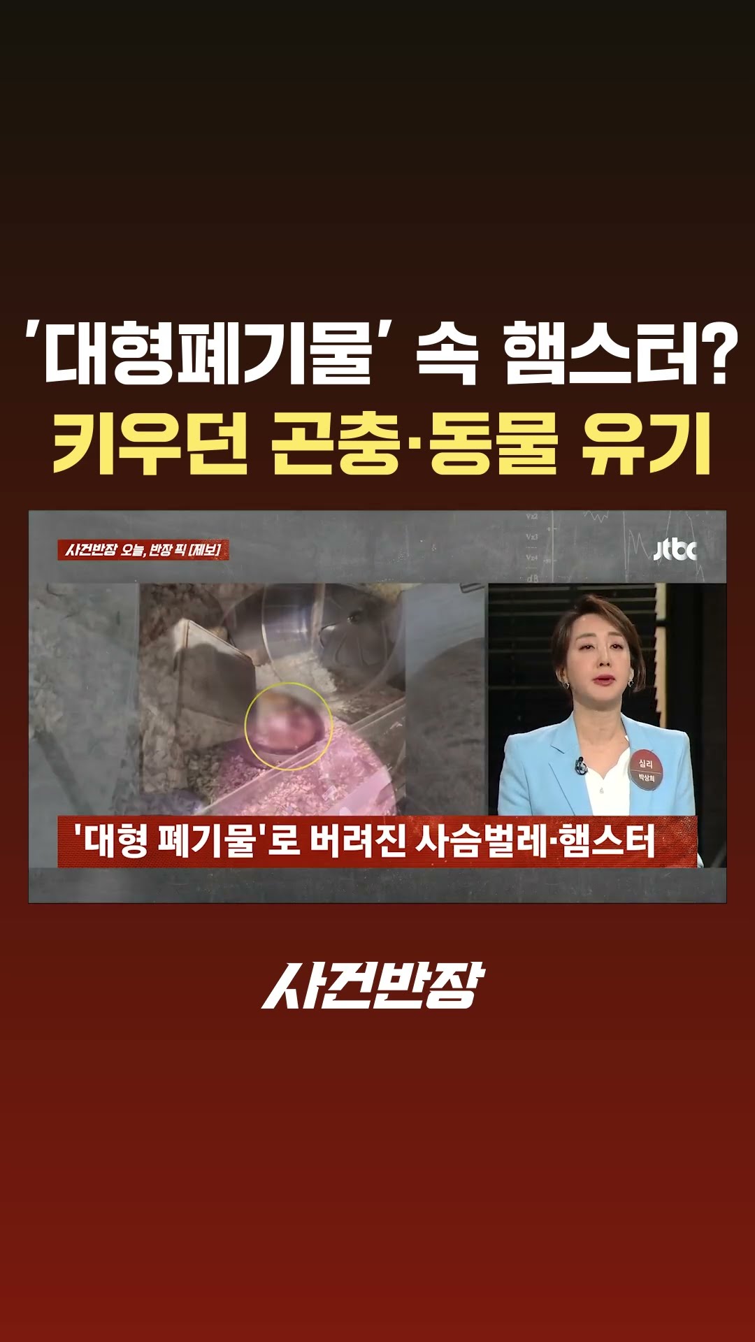'대형폐기물' 속 사슴벌레·햄스터…키우던 곤충·동물 짐짝 취급 #JTBC #Shorts