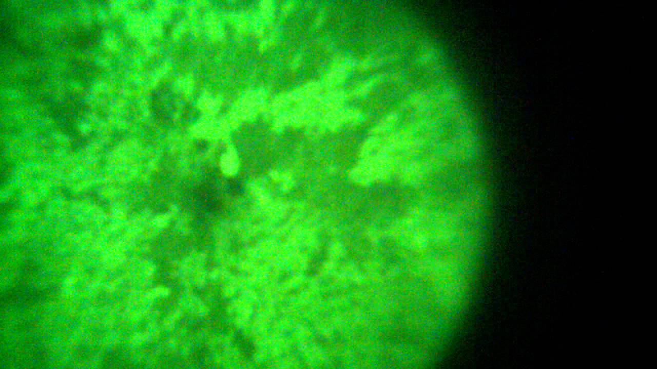 Night Owl Night Vision