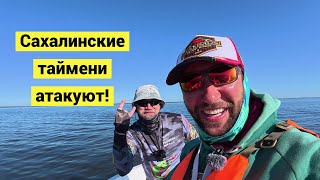 видео: В краю крупного тайменя! картинка: В краю крупного тайменя!