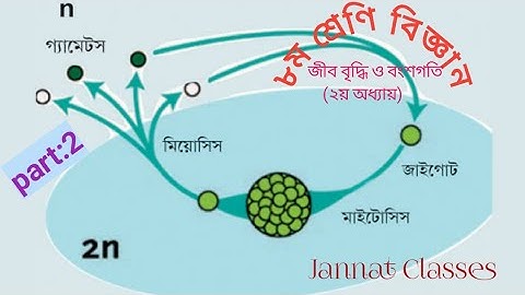 ৮ম শ্রেণি-বিজ্ঞান-২য় অধ্যায়(জীবের বৃদ্ধি ও বংশগতি) //class -8,science-2nd chapter - part:2