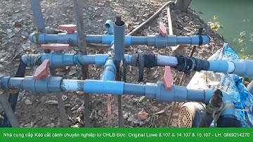 Hệ thống tưới phun mưa cho cây bưởi da xanh và Kéo cắt cành Đức xịn Original Lowe 15.107