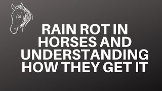 Rainrot In Horses and Understanding How They Get It