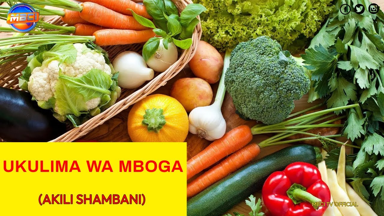 Ukulima wa mboga/Vegetable Farming in Kenya || AKILI SHAMBANI