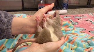 Just a Sleepy Little Bean ❤️