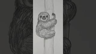 Famous Draw a sloth 🦥 Beginner friendly drawing lesson. Wealth