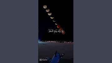 يقول الإنسان يومئذٍ أين المفر؟ سورة القيامه