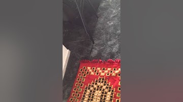 أذان القارئ محسن حاجي Mohcine Hajji